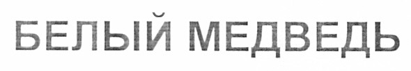 белый медведь