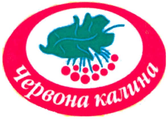 червона калина
