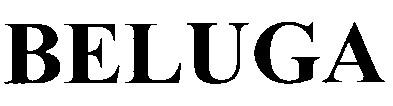 beluga