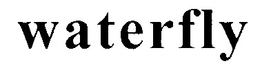 waterfly