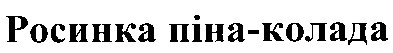 росинка піна-колада