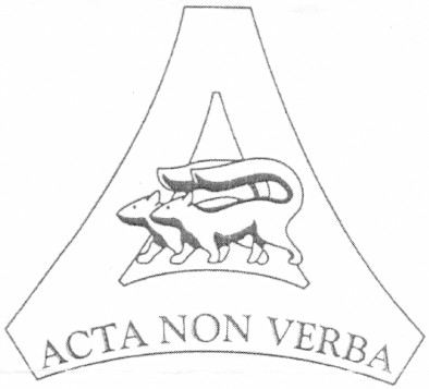 acta non verba