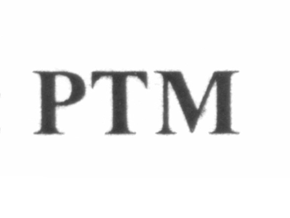 ртм