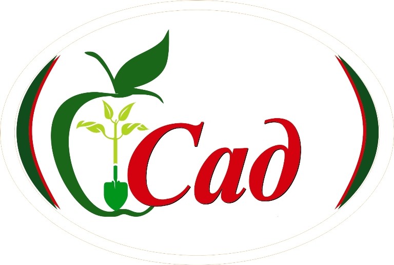 сад