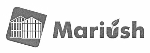 mariush