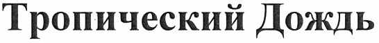 тропический дождь