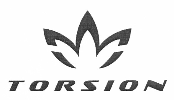 torsion