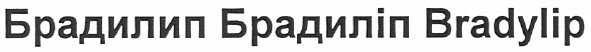 брадилип брадиліп bradylip
