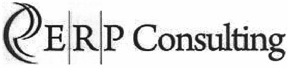 erp consulting