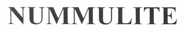 nummulite