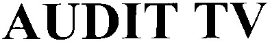 audit tv