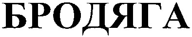 бродяга