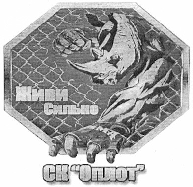 живи сильно