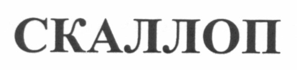 скаллоп