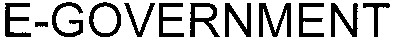 e-government