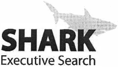 executive search