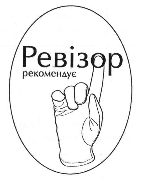 ревізор рекомендує