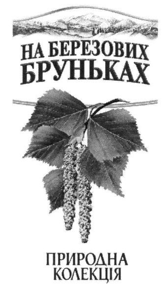 на березових бруньках