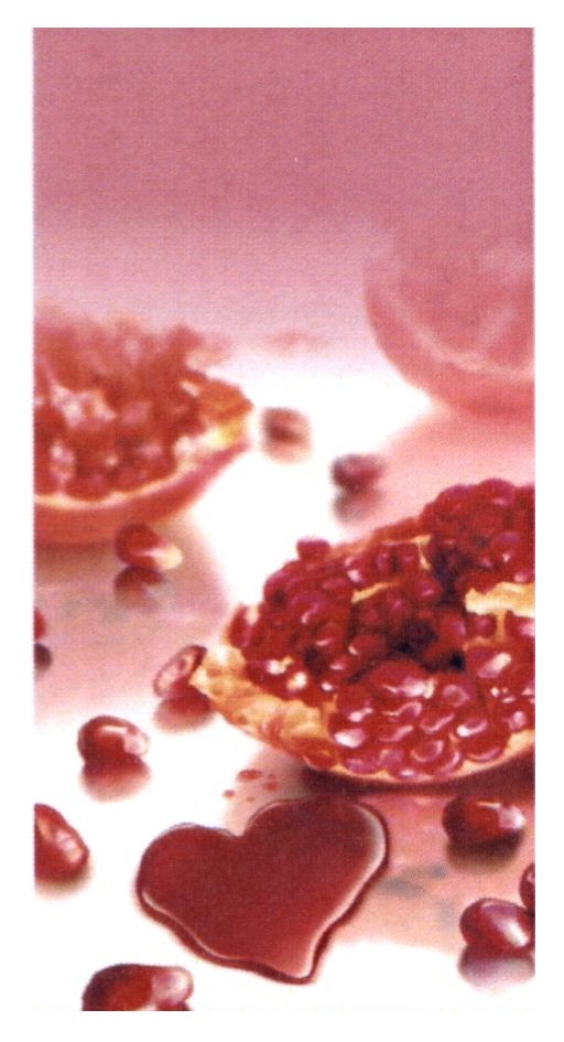 Фігуративна марка № 178524