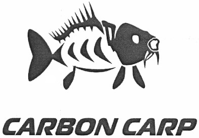 carbon carp