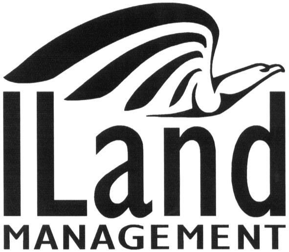 management