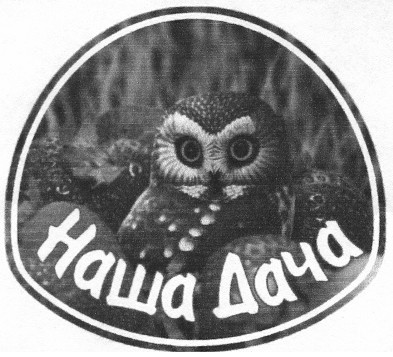наша дача