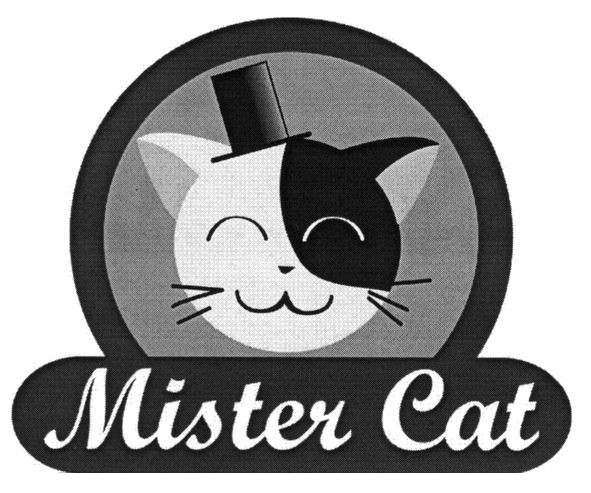 mister cat
