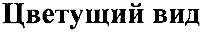 цветущий вид