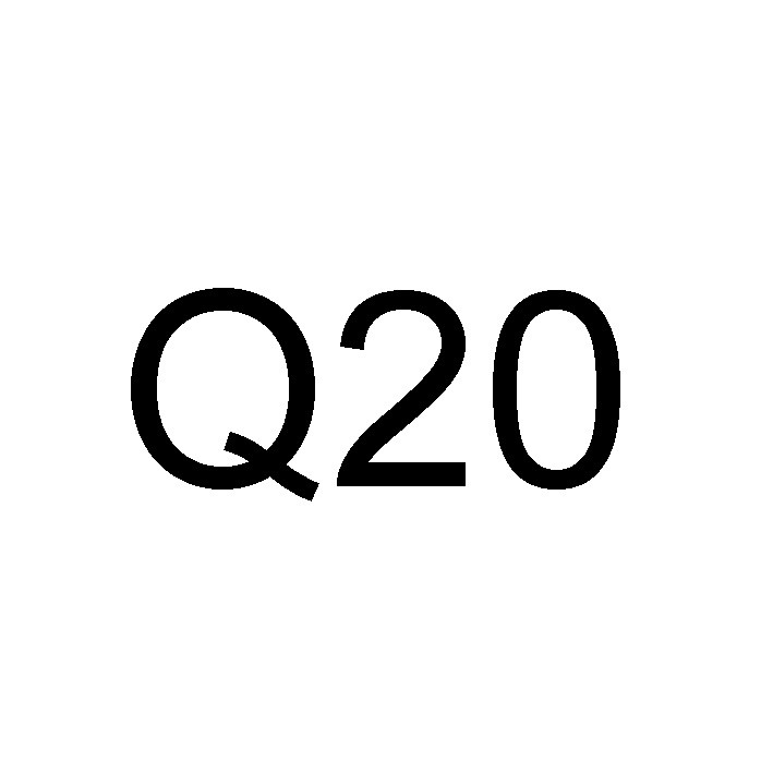 q20