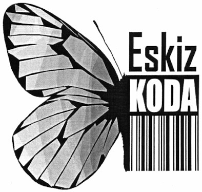 eskiz koda