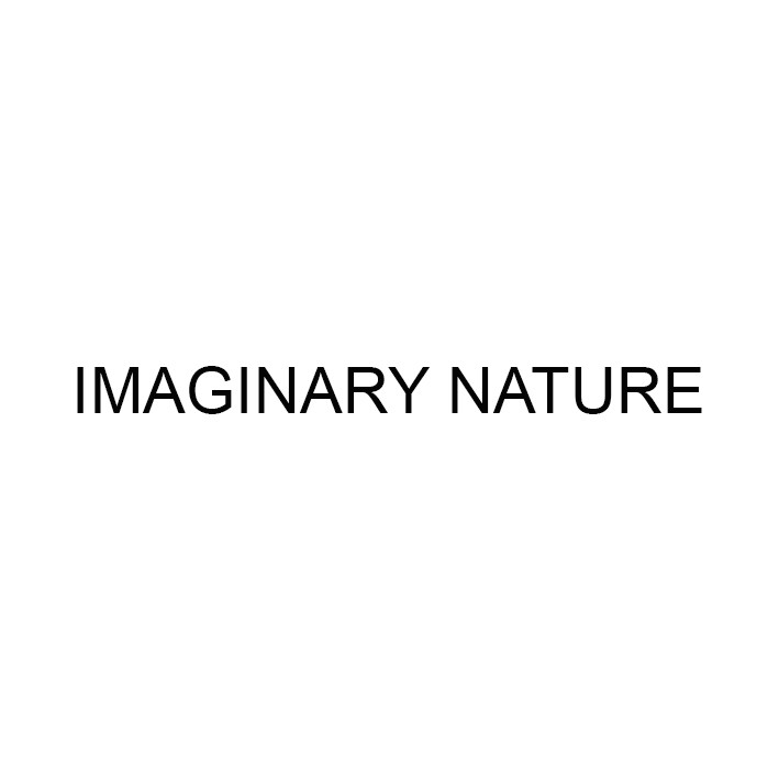 imaginary nature