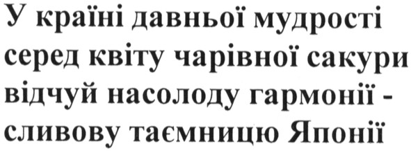 у країні давньої мудрості серед квіту чарівної сакури відчуй насолоду гармонії - сливову таємницю японії