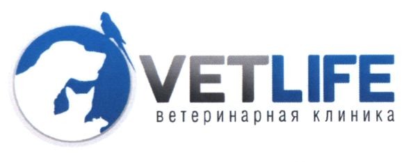 ветеринарная клиника