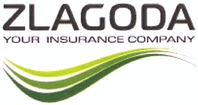 your insurance company