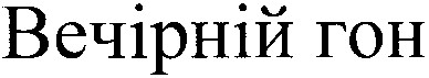 вечірній гон