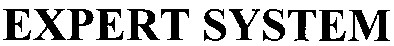 expert system