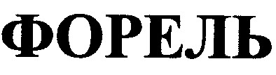 форель