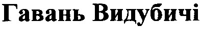 гавань видубичі