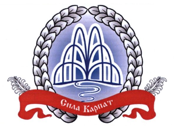 сила карпат