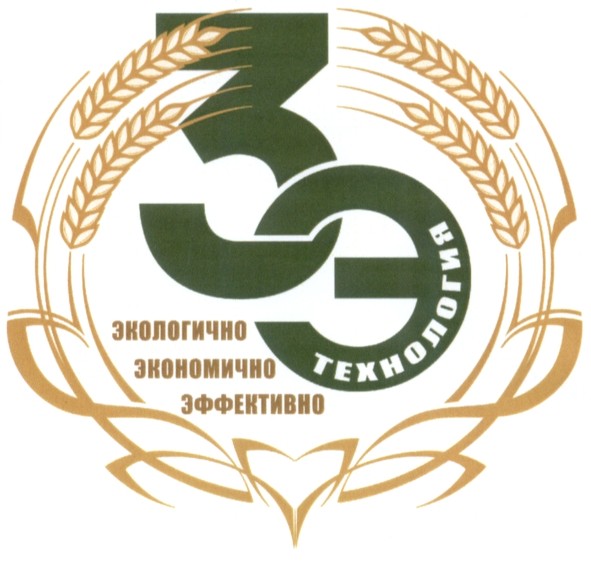 3э технология