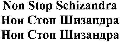 non stop schizandra