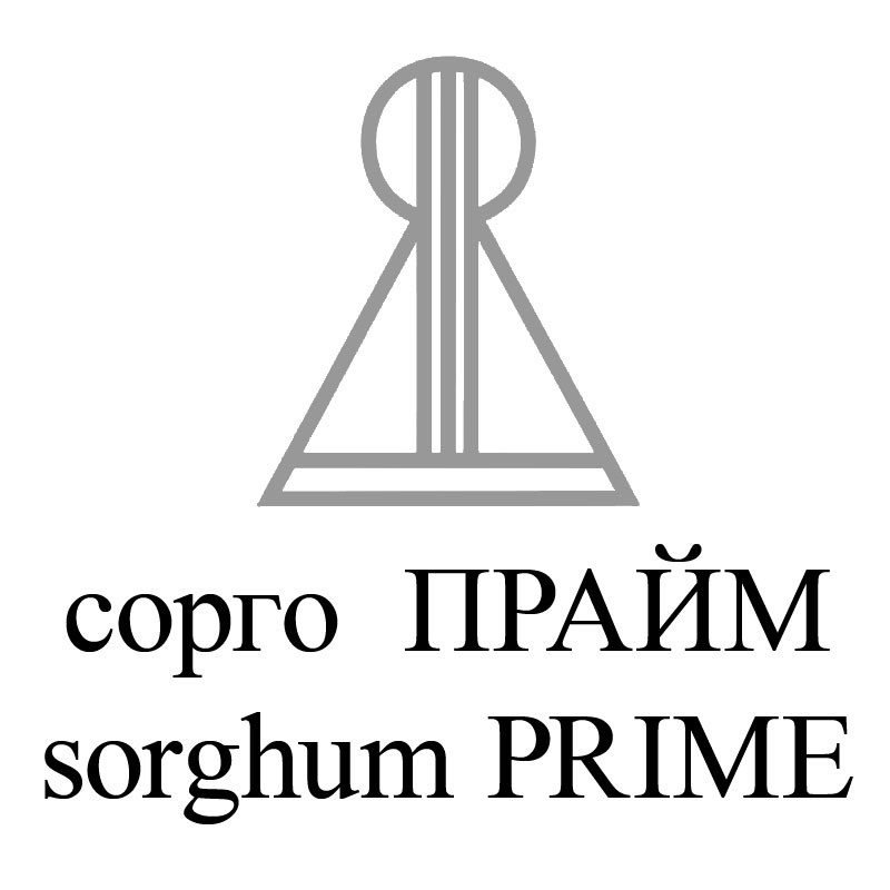 sorghum prime