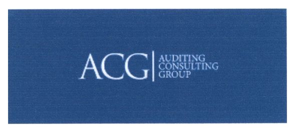auditing consulting group