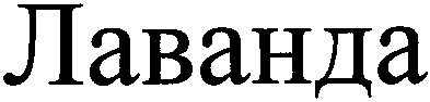 лаванда