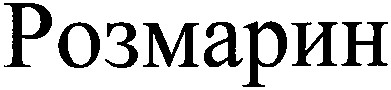 розмарин