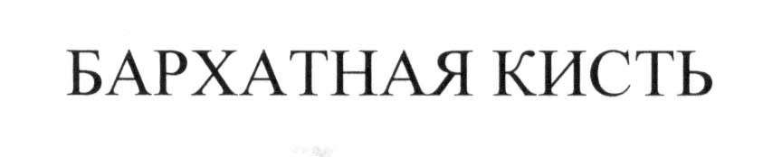 бархатная кисть