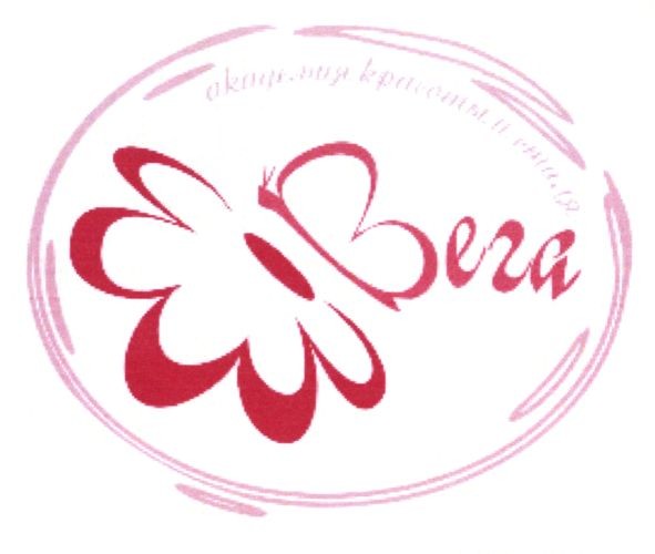 академия красоты и стиля вега