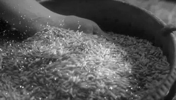Фігуративна марка № m201303632