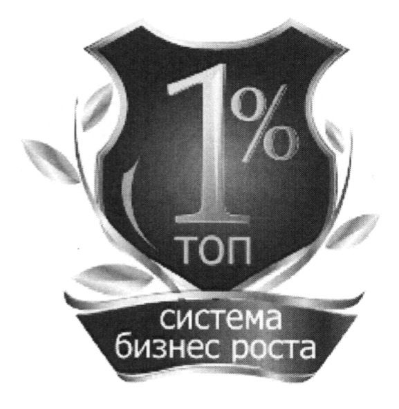 система бизнес роста