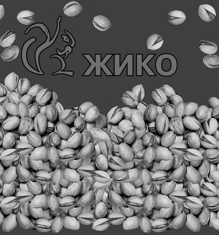 жико